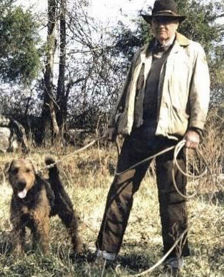 hunting airedale breeders